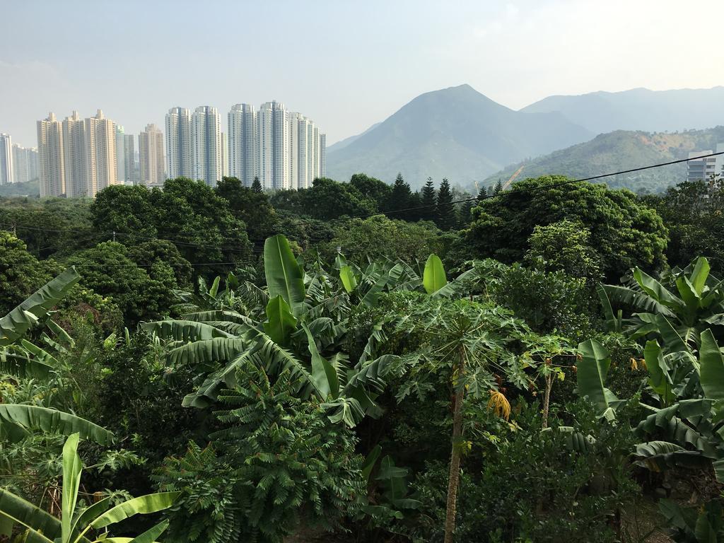 City Oasis Guesthouse Hongkong Eksteriør billede